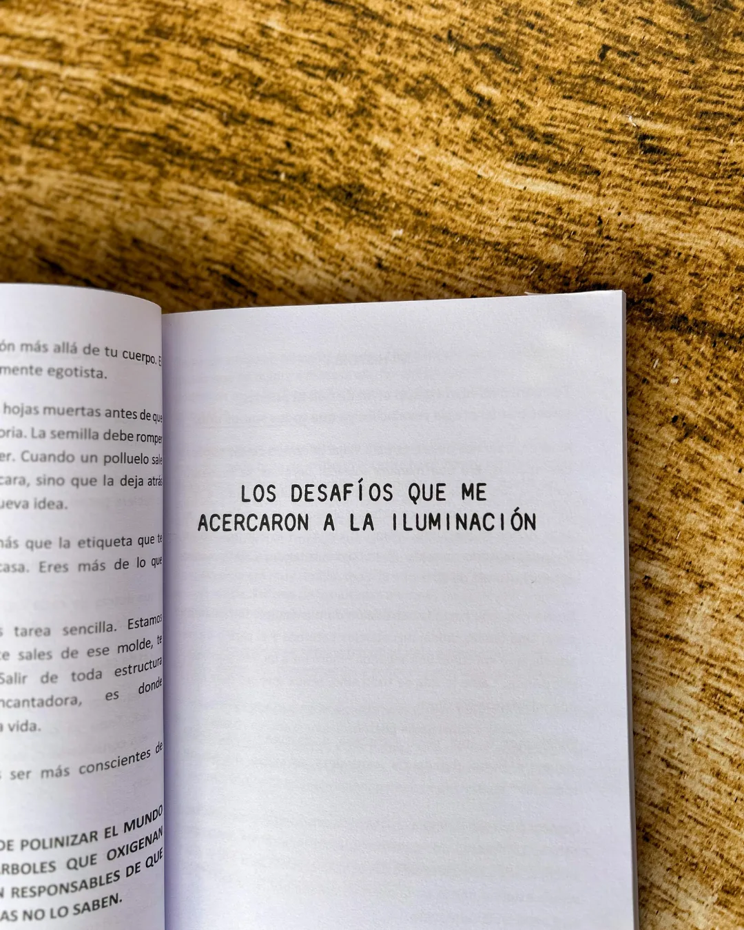 Libro de Jimena